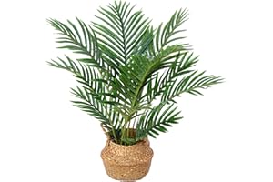 Kazeila Piante Finte da Interno Alta 60cm Palma Artificiale Grandi Pianta Finta Decorazioni Interno Camera da Letto Aesthetic Room Decor(1Pack)
