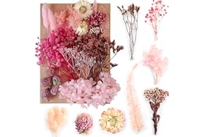 Cleminsta DIY Juego de Flores secas Naturales para Manualidades, Formas de Resina epoxi, Flores Rojas mezcladas Naturales, Accesorios para álbumes de Recortes, fabricación de Tarjetas (Rosa)