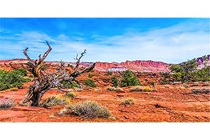 MIRRORANG 91x41cm Terrario Sfondo Blu Cielo Montagna Oasi Deserto Sole e Gobi Rettile Habitat Sfondo Vinile Sfondo