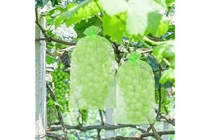 Halcyerdu 60 Stück Traubenschutzbeutel 30x20cm, Schutzbeutel für Trauben mit Zugband, Garten Netzbeutel, Obst Schutzbeutel, zum Effektiven Schutz vor Insekten wie Wespen, Vögel und Essigfliegen (Grün)