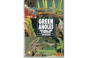 Green Anoles
