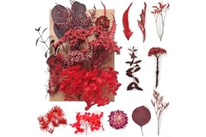 Cleminsta DIY Natürliche Trockenblumen Set Natürliche Getrocknete Blumen für Kunst Basteln DIY Epoxidharz Formen, Rot Blumen Natürliche Gemischte, Scrapbook Zubehör Karten Machen (Rot)