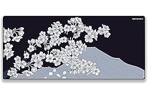 X-RAY X-RAYPAD Alfombrilla de ratón para Juegos X-Raypad Aqua Control 2 AC2, Ultra Alta precisión con Velocidad Capacidad de Control, diseñada para Jugadores Fps con Bajos requisitos de dpi