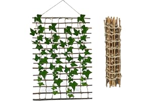 GREENKING Willow Garden Trellis, Expanding Trellis, Garden Trellis for Climbing Plants Outdoor, Made from Willow and Jute, 50×200cm