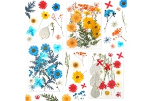 MXTIMWAN 60 Piezas Flores Secas Naturales, Flores Prensadas Secas Decoracion, Flores Secas Manualidades, Kit de Hojas Secas de Flores Prensadas para Resina, Scrapbooking, Velas de Bricolaje