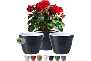 Santino ASTI Lot de 3 Pots de Fleurs à Arrosage Automatique - 20 CM - Auto-Arrosant - avec Indicateur de Niveau d'eau - pour Toutes Les Plantes D'intérieur (Ø 20 cm, H 16 cm, 4L - Anthracite/Blanc)