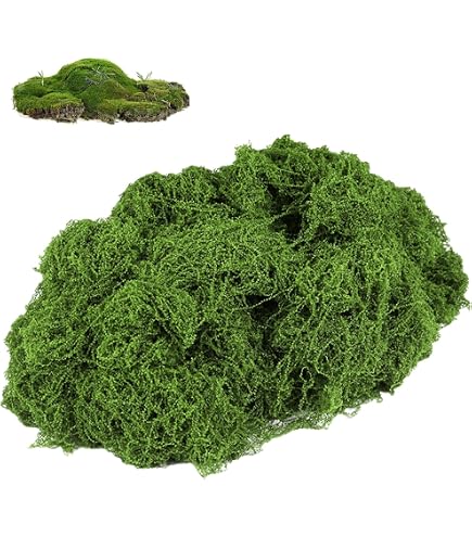Muschio Spagnolo Naturale FloraCraft – 113 G (4 Oz), Per Decorazioni E Terrari