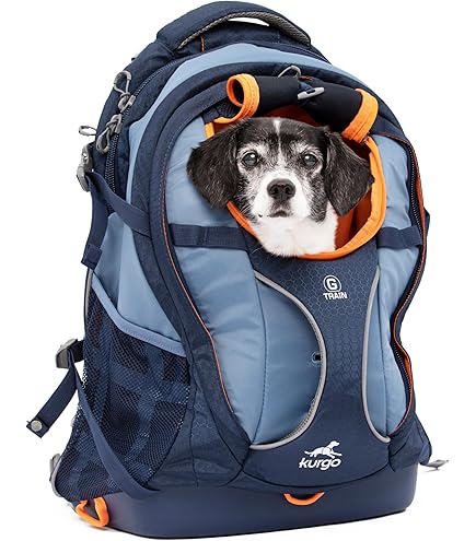 No Pull Dog Harness IDOMIK Frog Dog Backpack – No-Pull Harness