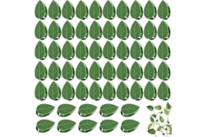 NAMIS 60 Piezas Clips de Plantas para Plantas de Escalada Soporte de Plantas Trepadoras Autoadhesivo Planta Invisible Clips de La Pared Clips de Fijación para Plantas de Pared para Fijar Plantas y Cables