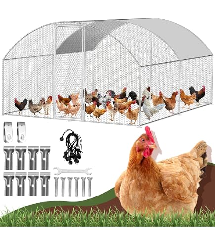 Poulailler 3x2x2 M - Enclos Pour Poules Acier Galvanisé - Toile Imperméable - Avec Auvent - Montage Facile - Pour Extérieur - 5