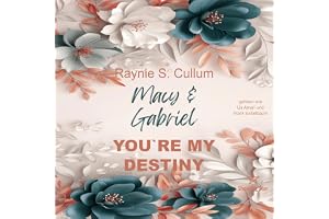 Macy & Gabriel: You're my destiny, Band 2