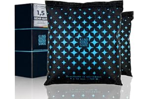 King Kong State Déshumidificateur pour voiture - 2 coussins déshumidificateurs de 500 g pour vitres de voiture embuées - Avec rembourrage anti-buée réutilisable