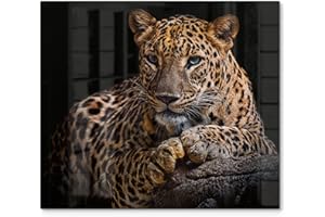 DEQORI Plaque de protection en verre Une pièce 60 x 52 cm Motif léopard couché Plaque de protection pour plaque de cuisson Couverture universelle Plaque en verre et planche à découper