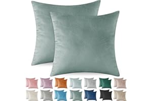 Ystyle Federe Cuscini Divano 50x50 2 Pezzi, Copricuscini Divano in Velluto, Copricuscino Divano Lavabili e Resistenti Anallergico Antiacaro e Traspirante con Cerniera Nascosta, Verde Chiaro
