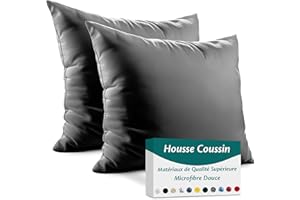 FLOWEN Taie d'oreiller 60x60 Microfibre Premium Lot de 2 Housse Coussin pour Coussins Canapé/Lit Tissu Super Doux Resistant et Lavable Hypoallergénique Anti-Acariens avec Fermeture éclair Invisible