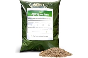 GBW Grass Seed 0.5kg - Covers up to 30 m2 (325 ft2) - Premium Quality Lawn Seed - Rapid Growth – Can Germinate Quick as 10 Days - Hard Wearing Against Pet Urine - Tailored to UK Climate - 100% Refund