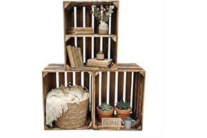 ‎TERAMICO Teramico Alte geflammte Obstkisten / Holzkisten 50 x 40 x 30cm in vielen Variationen -Ideal zum Möbelbau oder zur Aufbewahrung- Sehr massiv und stabil verarbeitet (3er Set / 1 Boden Quer)