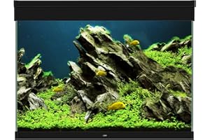 CIANO AQUARIUMS - Emotions Pro 80 Black EUR