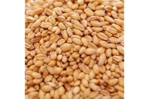 Copdock Mill Whole Wheat Chicken Feed 20kg – Suitable for Wild and Caged Poultry – 100% Natural - Made in the UK