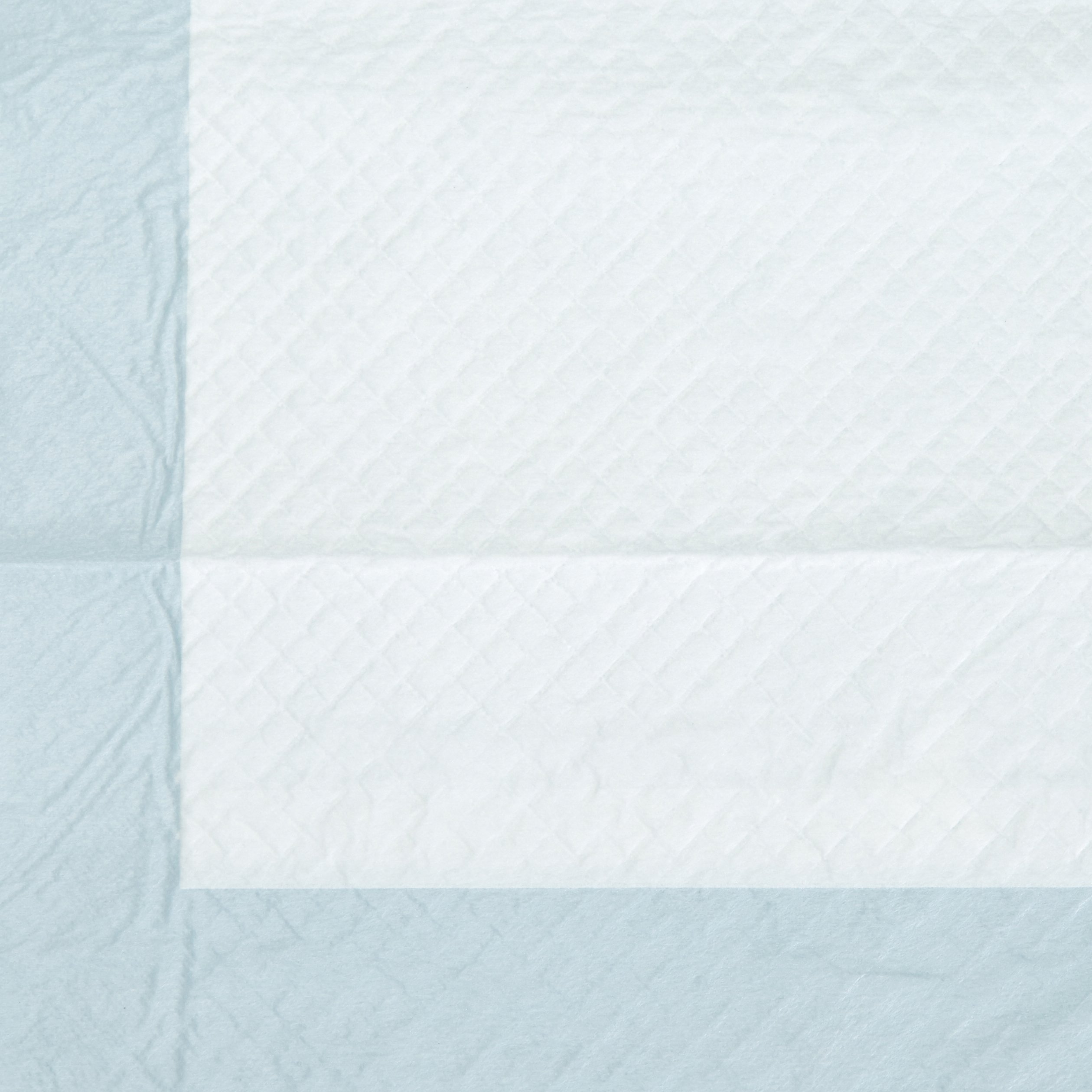 AmazonBasics Pet Training Pads, ExtraLarge Dog Incontinence UK