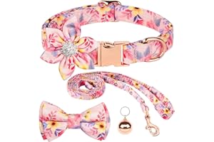 AUAUY Zestawy obroży i smyczy dla psów, kwiat dziewczyna kwiatowy wzór grawerowane obroże dla zwierząt domowych z regulowanymi mocnymi złotymi obrożami z piękną muszką i małym dzwonkiem dla małych,