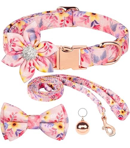 Unique Style Paws, Collare Per Cani In Seta, Durevole E Regolabile, Con Fiocco, Per Matrimonio, Per Cani, Taglia XL, Colore Mandarino