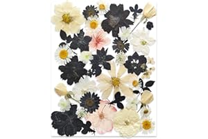 13 odmian, 37 zielonych, suszonych kwiatów do form z żywicy, YoothBro prawdziwe naturalne tłoczone kwiaty do rzemiosła artystycznego, produkcji świec, dekoracji paznokci