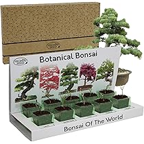 Gift Republic Cactus Plants Growing Kit Sow & Co Biodegradable Grow Kit Gardening Gift Cacti Seeds No Soil Eco-Friendly Growing Set Kids, Teens, Adults