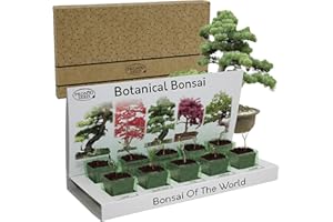 Pronto Seed Grow Your Own Bonsai Tree Kit with 5 Seed Varieties - Indoor Growing Set with Sustainable Packaging Display - Gift for Women, Men - Beginner-Friendly