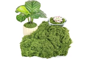 ‎DRAUPNIR Draupnir 150g Künstliches Moos, Kunstmoos zum Basteln, Kunst Moos Deko, Fake Mooss Dekorieren für Wand Tisch Krippe Modellbau, Hochzeit, Oster, Weihnachtsdeko (Dunkelgrün)