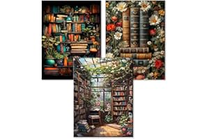 WEMEON Stück Malen Nach Zahlen Erwachsene(30X40cm)- Bücherregal Malen nach Zahlen, Malen Nach Zahlen Kit mit 9 Pinseln, Acrylfarben Handgemalt Ölgemälde Leinwand für Home Decor