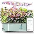 LETPOT LPH-Air WiFi Hydroponic Propagation System, 10 Sleeves Smart Herb Garden Kit for Indoors, Indoor Garden with 24 W LED Grow Light, 4 L Water Tank, Pump System, Automatic Timer