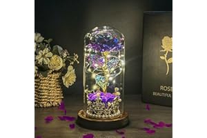 Hemiro Rosa eterna in vetro, regalo per la festa della mamma, rosa in vetro con LED in una cupola di vetro, regalo per donne, mamma, nonna, fidanzata (viola)