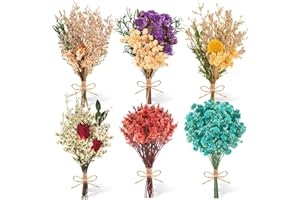 LZMDISU Dried Flowers for Crafts, 6 Pcs Mini Dried Flowers with Stems for Crafts Bulk, Dried Flowers for Vase