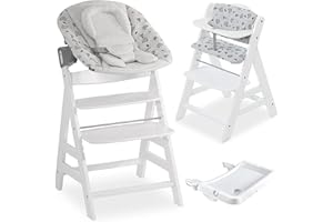 Hauck Seggiolone Pappa Alpha XL Set - con sdraietta neonati, vassoio e cuscini/seggiolone evolutivo per bambini reclinabile -