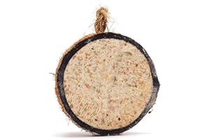 Coconut Bird Feeder Halves, Wild Bird Food for Small Birds with Suet, Dried Mealworms, Seeds, and Cereals, High Energy Food, Filled in the UK, Suitable for Year-Round Feeding - RSPB