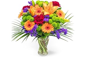 PRESTIGEFLOWERS Joyeux - Fleurs fraîches - Livraison le lendemain - Bouquet d'anniversaire - Cadeau d'occasion - Arrangement floral - Livré à votre porte - Fleurs naturelles (Grande)