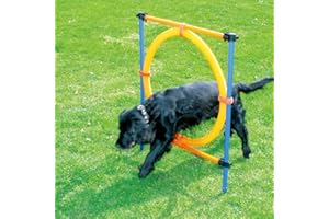 PAWISE Pet Dogs Outdoor Games Agility Exercise Training Equipment Agility Jump Starter Kit Hoop Hurdle Bar