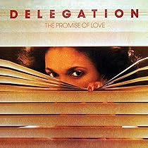 USオリジナル盤PROMISE OF LOVE DELEGATION LP Delegation / The Promise Of Love(LP) / Shady Brook 1977 US