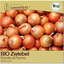 Samenliebe BIO Zwiebel Samen | italienische Tropea Rossa Tonda - rot -  samenfestes BIO Saatgut : Amazon.de: Garten