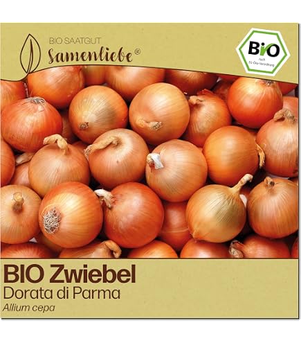 Rote Zwiebel 100 x Samen - Aus Portugal 100% Natrlich Ohne Chemische  Anzuchthilfe Oder Gentechnik, Einfach Nur Natur Pur : Amazon.de: Garten