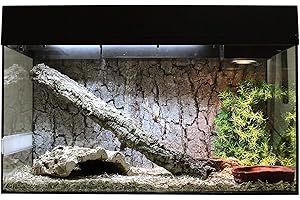Lucky Reptile Starter Kit Schlange, Farbe:Schwarz, Terrarienmaße (B/T/H):80 x 40 x 52 cm