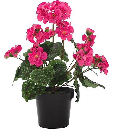Amazon.de: kunstpflanzen-discount.com Knstliche Hngegeranien 80cm lang  mit weien Blten UV-Bestndig - Pelargonien Geranien Blumen hngend zum  Stecken