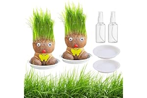 ZDNT 2 Stück Graskopf Wachsende,Graskopf Puppenpflanze,Wachsende Graskopf Puppenpflanze,Graskopf Haarwuchs,Grass Head Doll Bonsai Growing Plants,Mini Bonsai Gras Kopf Figure Puppen Für Schlafzimmer