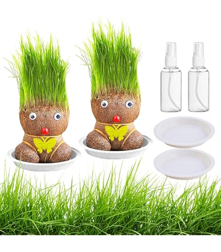 Lot De 3 Mini Bonsaïs Anti-moustiques – Poupées Tête D'herbe Avec Plateau – Plante Décorative Facile D'entretien – Cadeau Enfant Ou Bureau