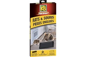 KB HOME DEFENSE HDGLUE2 - Pièges à Glu pour Rats et Souris x 2 - Colle extra forte, Neutre