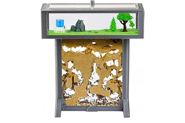 AntHouse - Fourmilière Naturelle en Sable | Kit T 3D 15x15x1,5 cm Gris | Fourmis Incluses