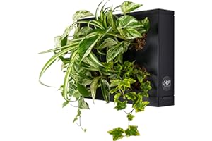 Ortisgreen HOH! de, Tableau Végétal Mural, Pot pour Plantes Mural a Suspendre, Support Mural pour Plantes, Décoration Murale, Couleur Noir, Matière Plastique ABS, Substrat Naturel et Guide Illustré