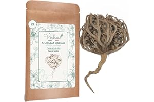 VIRHEA Rosa di Gerico X1, Chajarat Mariam - Taglia XL - Pianta che favorisce la fertilità - Anastatica Hierochuntica [soddisfatti o rimborsati]