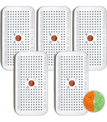 2 Gram [600 Packs] "Dry & Dry" Premium Silica Gel Packets Desiccant Dehumidifiers - Rechargeable Paper (FDA Compliant